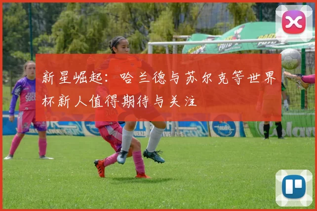 新星崛起：哈兰德与苏尔克等世界杯新人值得期待与关注